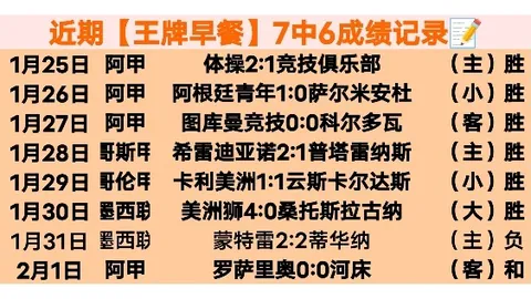 切尔西艰难击败狼队获英超胜利